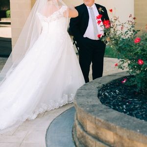 ball gown wedding dress and cathedral veil.